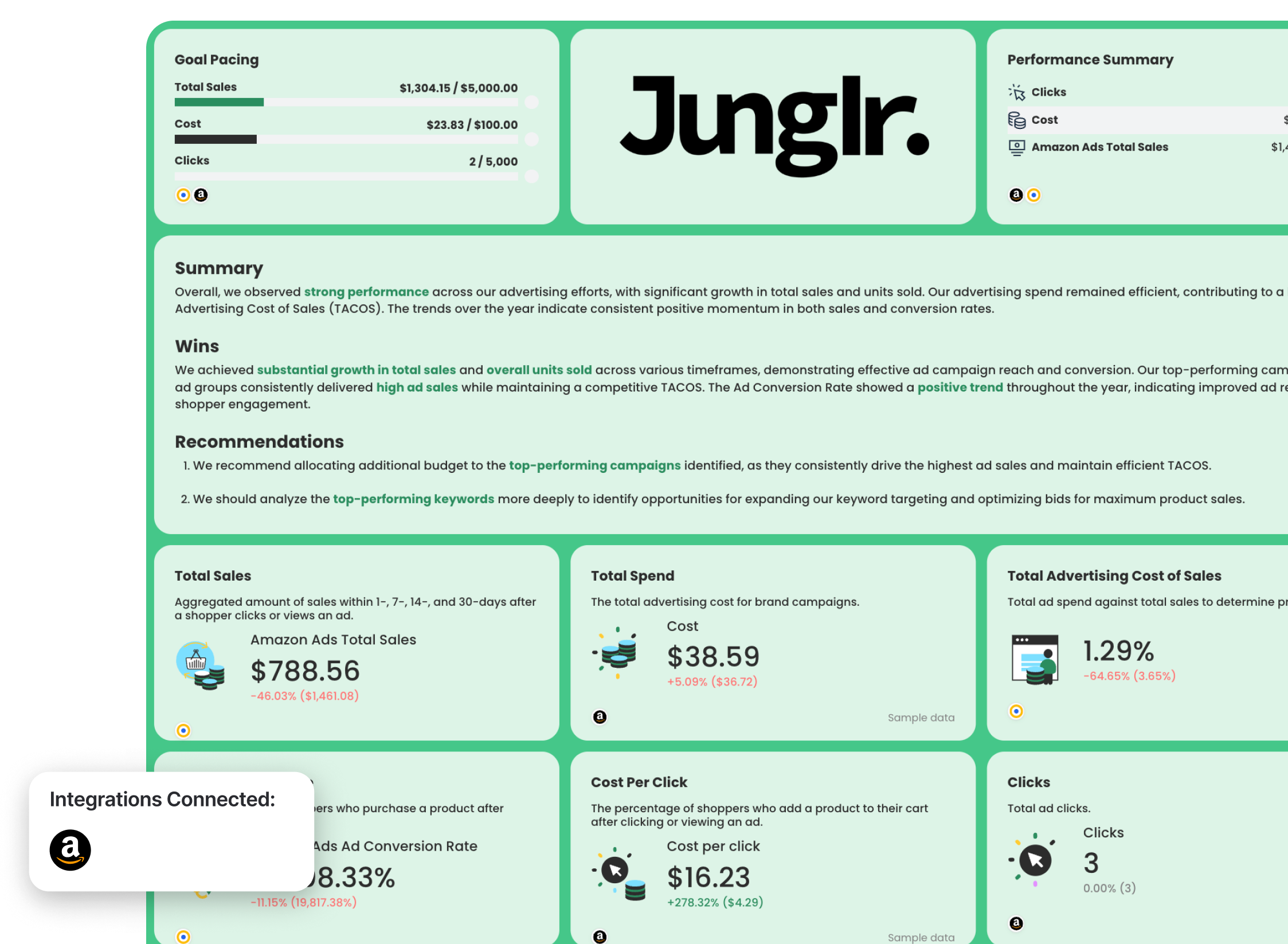 Amazon Ads Dashboard Example - A dashboard featuring graphs, metrics, and performance summaries.
