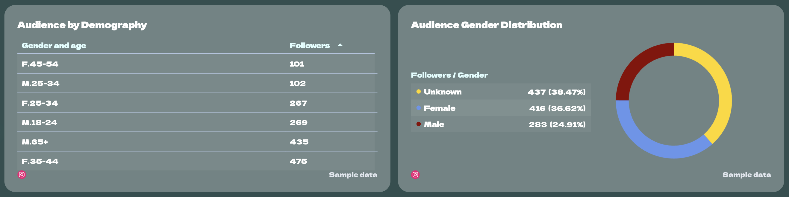 Audience Demographics - Two charts showing audience by demography and gender distribution.
