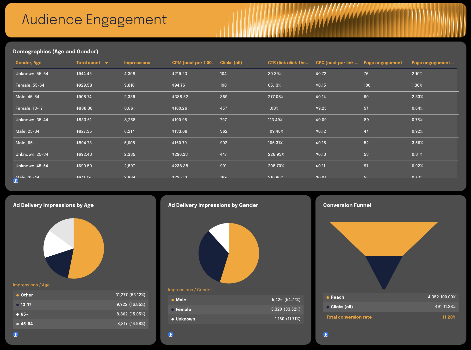 Audience Engagement - Dashboard showing demographic data, pie charts for ad delivery by age/gender, and conversion funnel.