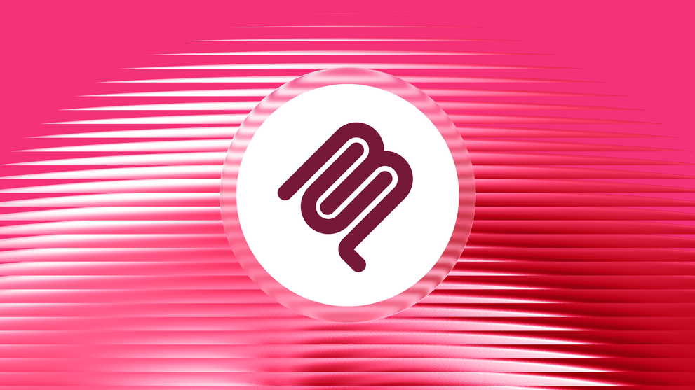 Whatagraph marketing reporting tool