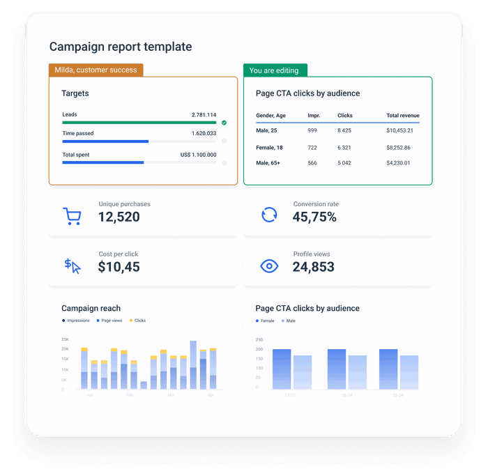 How to Create a Campaign Report for Clients [Structure & Steps ...
