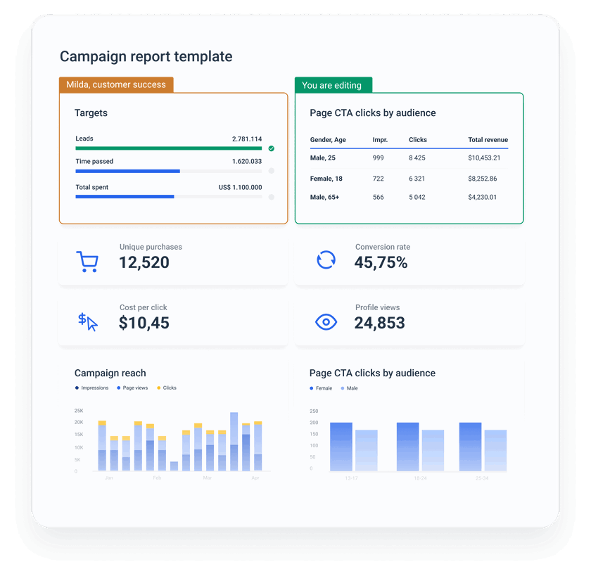 How to Create a Campaign Report for Clients [Structure & Steps ...