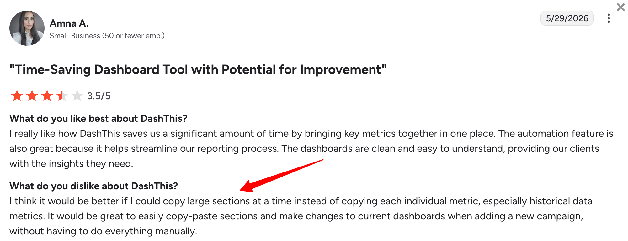 Dashthis review.png