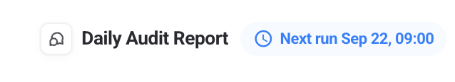 GKV - daily audit report.png