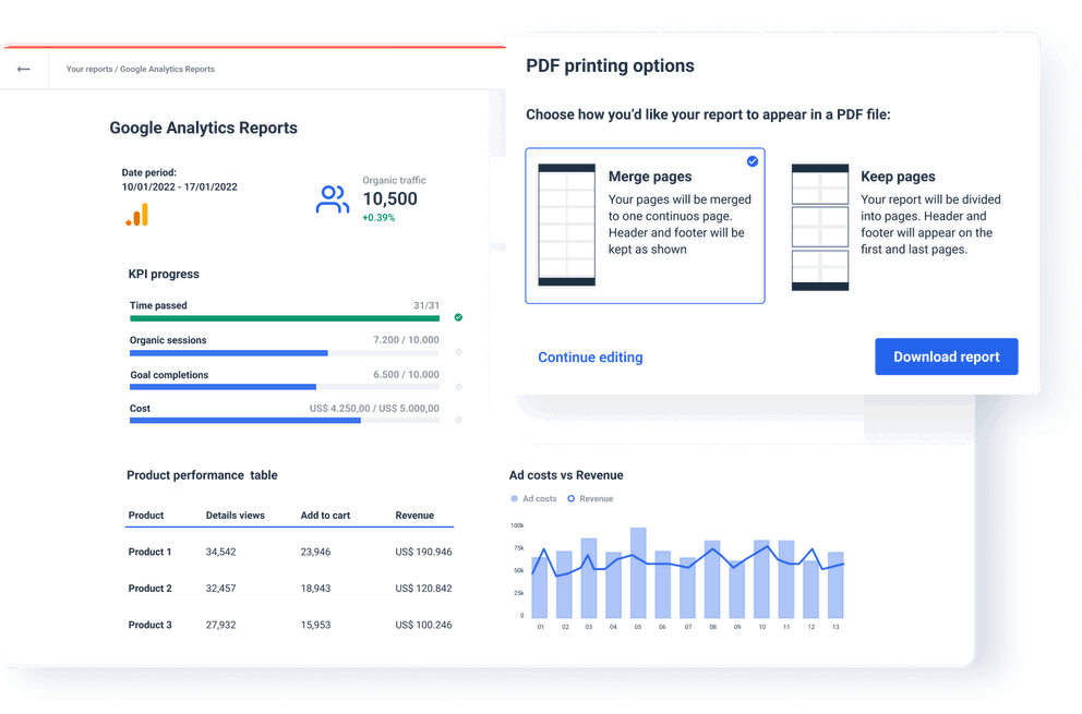 Google Analytics Report