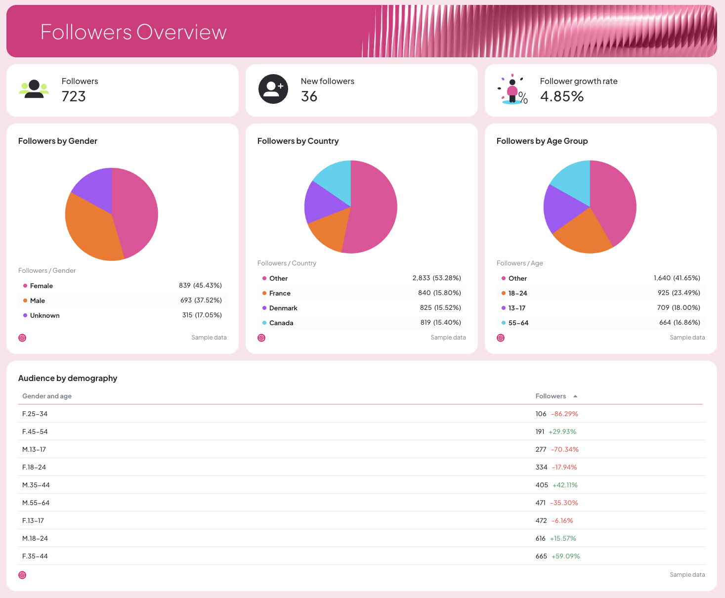 Instagram Report Template - Dashboard with follower demographics, charts, and statistics.
