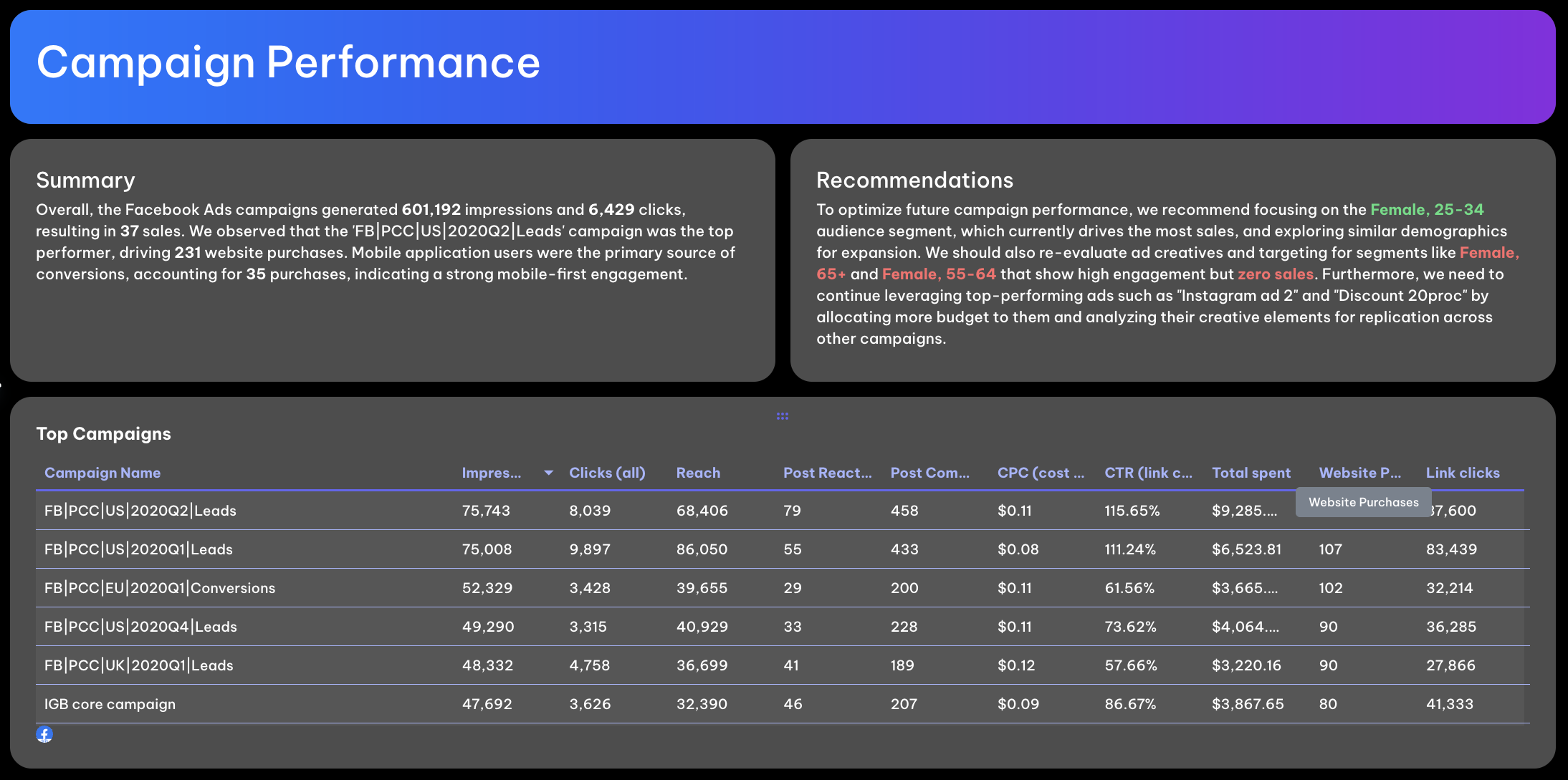 Campaign Performance - Data table showing campaign performance and summary recommendations