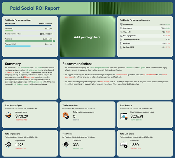 Free Marketing ROI Report Template Ready in Seconds Whatagraph