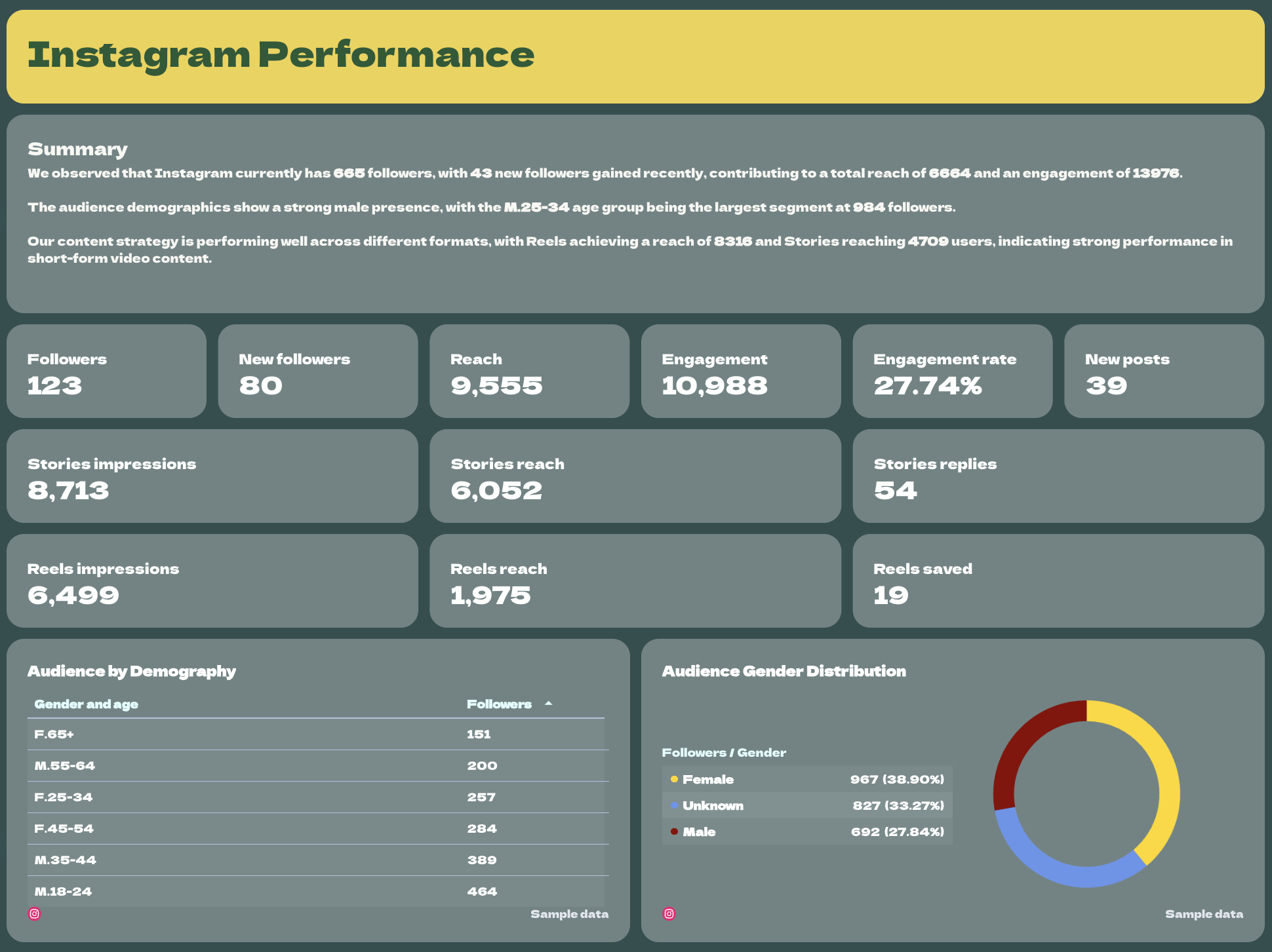 Social Media Report - Instagram performance report showing audience demographics and reach statistics.