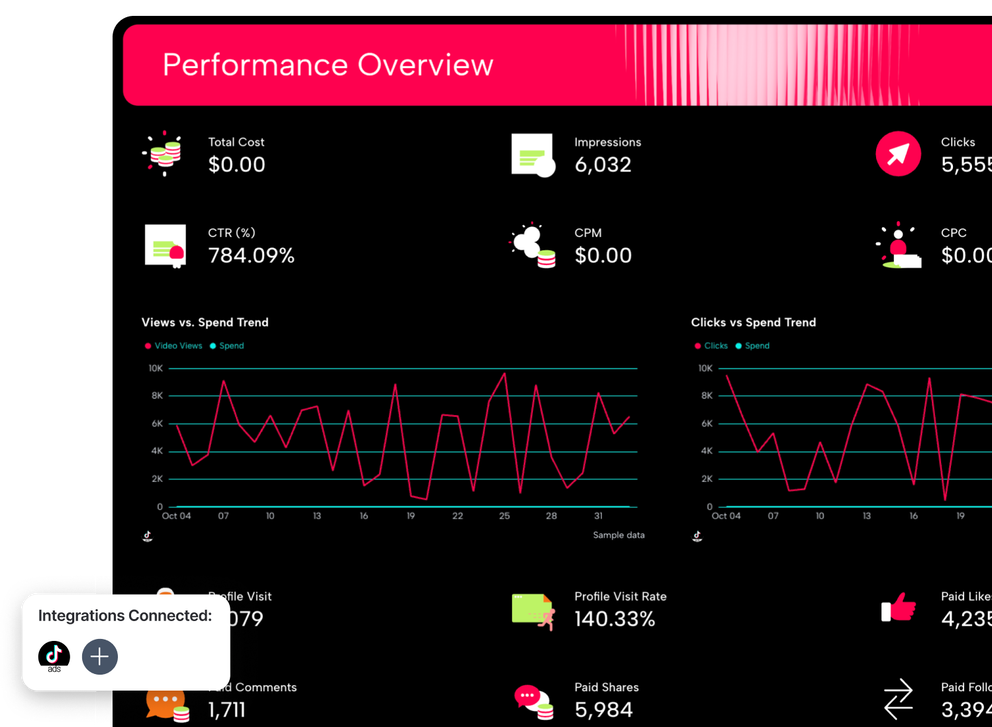 TikTok Ads Report Template - Dashboard showing performance overview, charts, metrics, and integration options.
