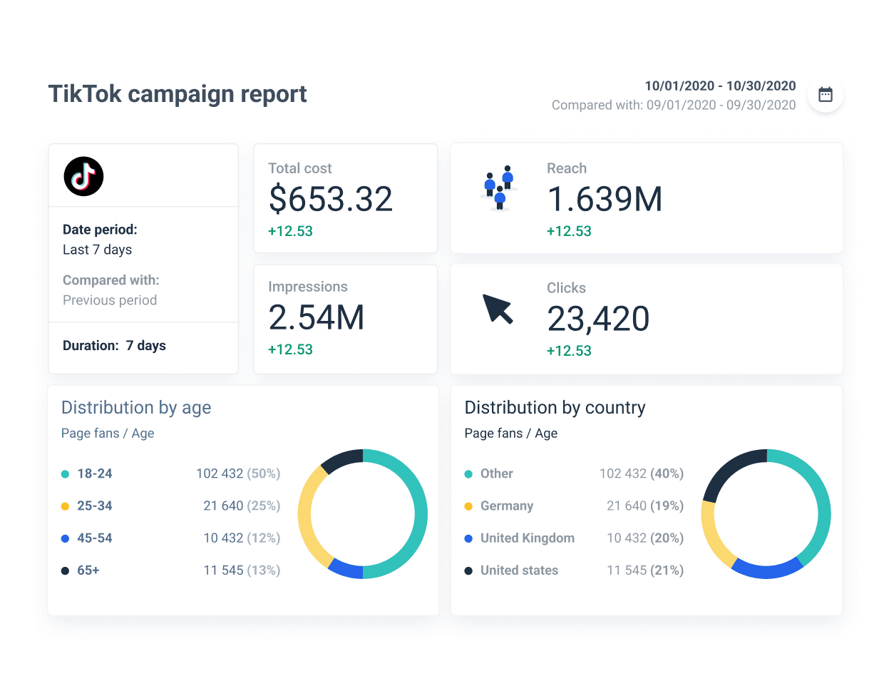 TikTok-Campaign-Report-template.png