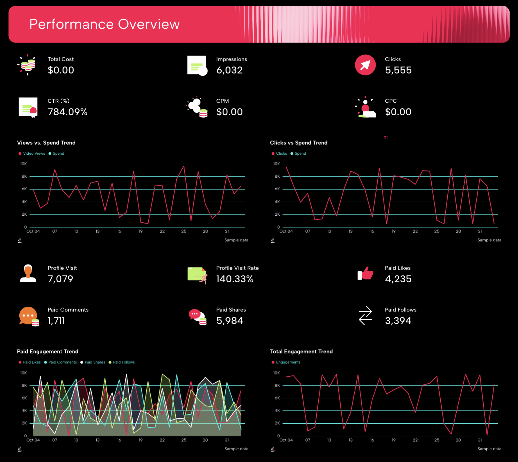 TikTok Ads Report Template - A dashboard showing performance metrics for TikTok ads.