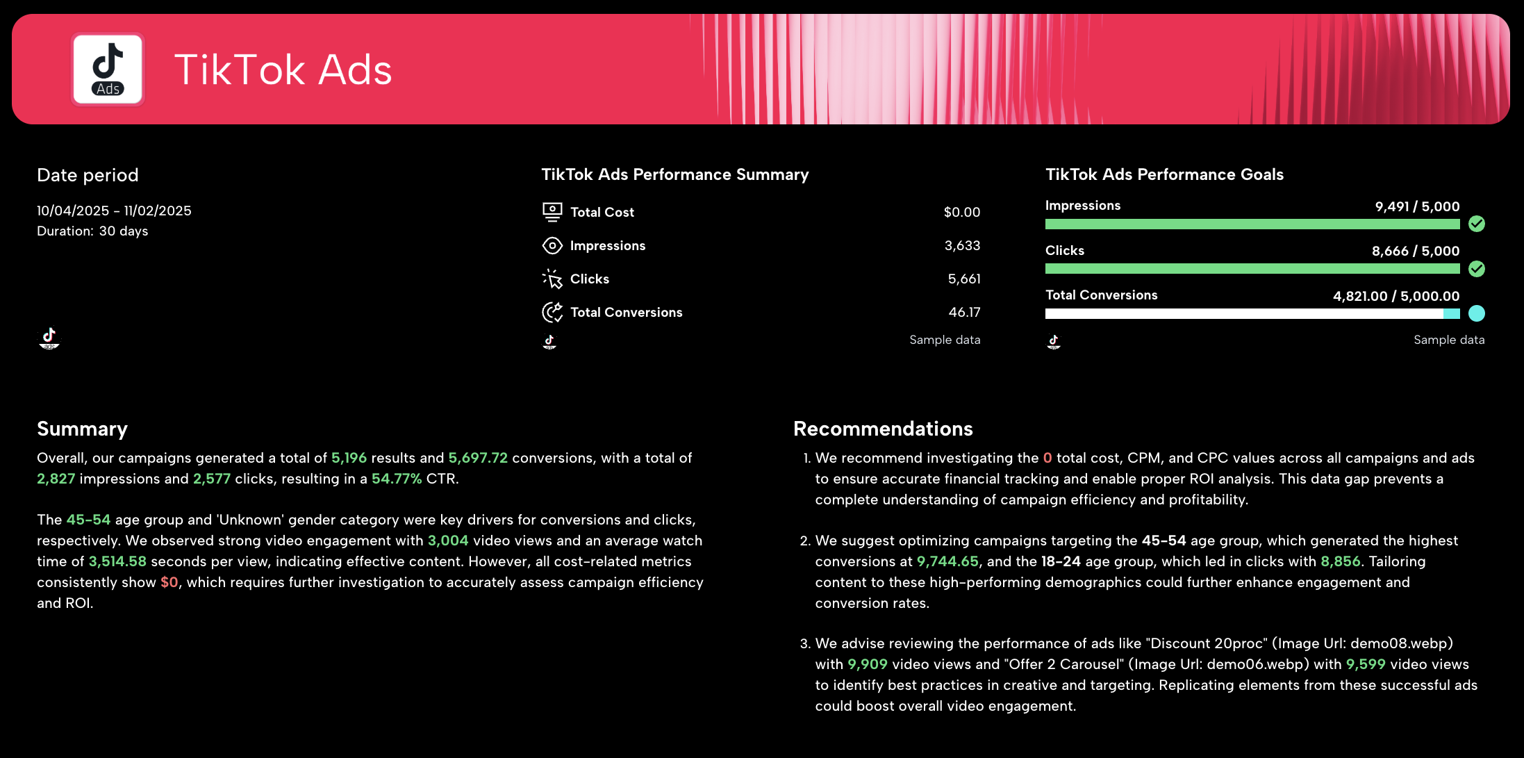 TikTok Ads Report Template - A report with key metrics about TikTok ads performance.