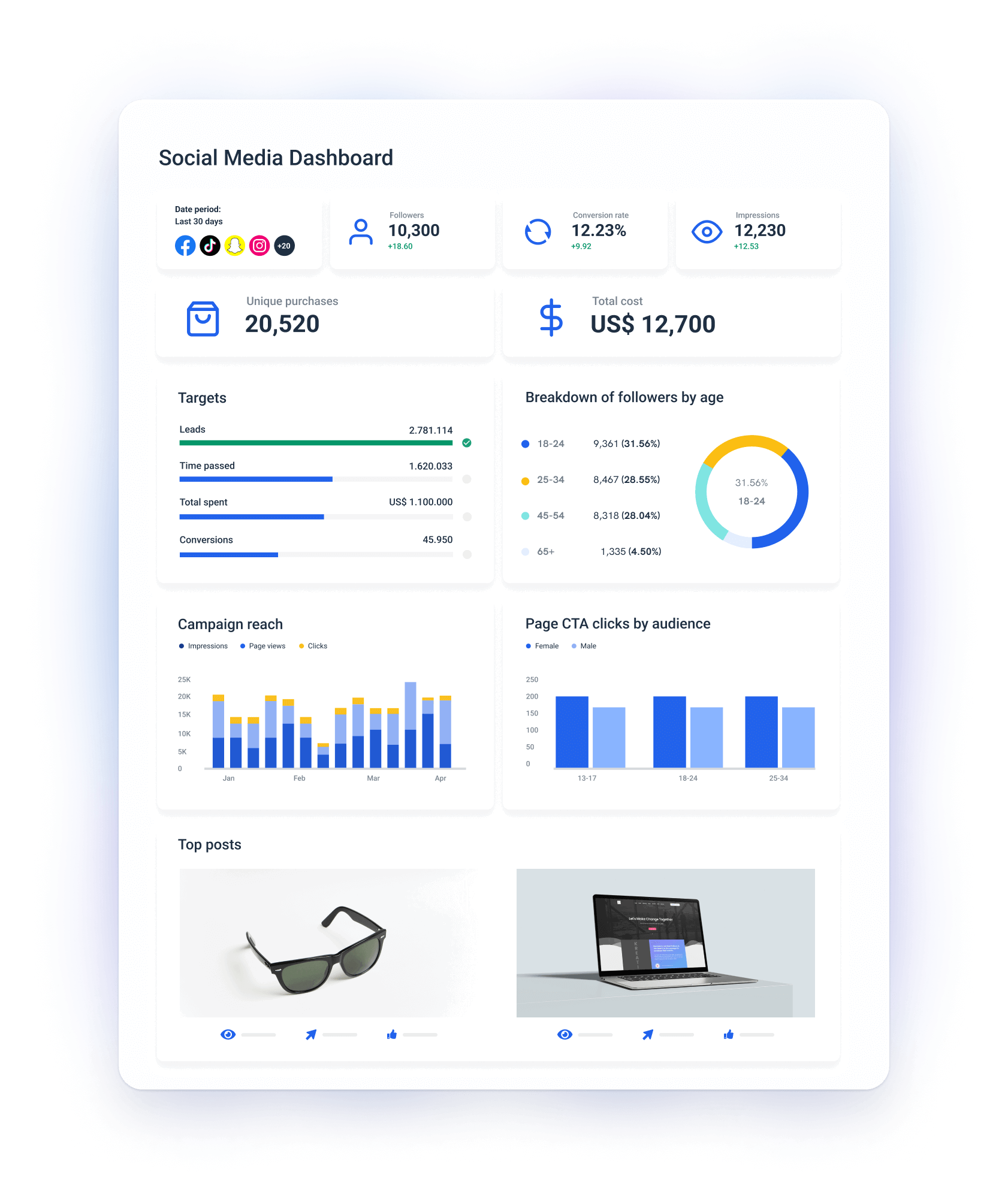 Visual Customization - A social media dashboard with charts and statistics.