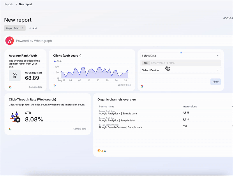 Whatagraph IQ - The dashboard shows an overview of website analytics with charts and data tables.