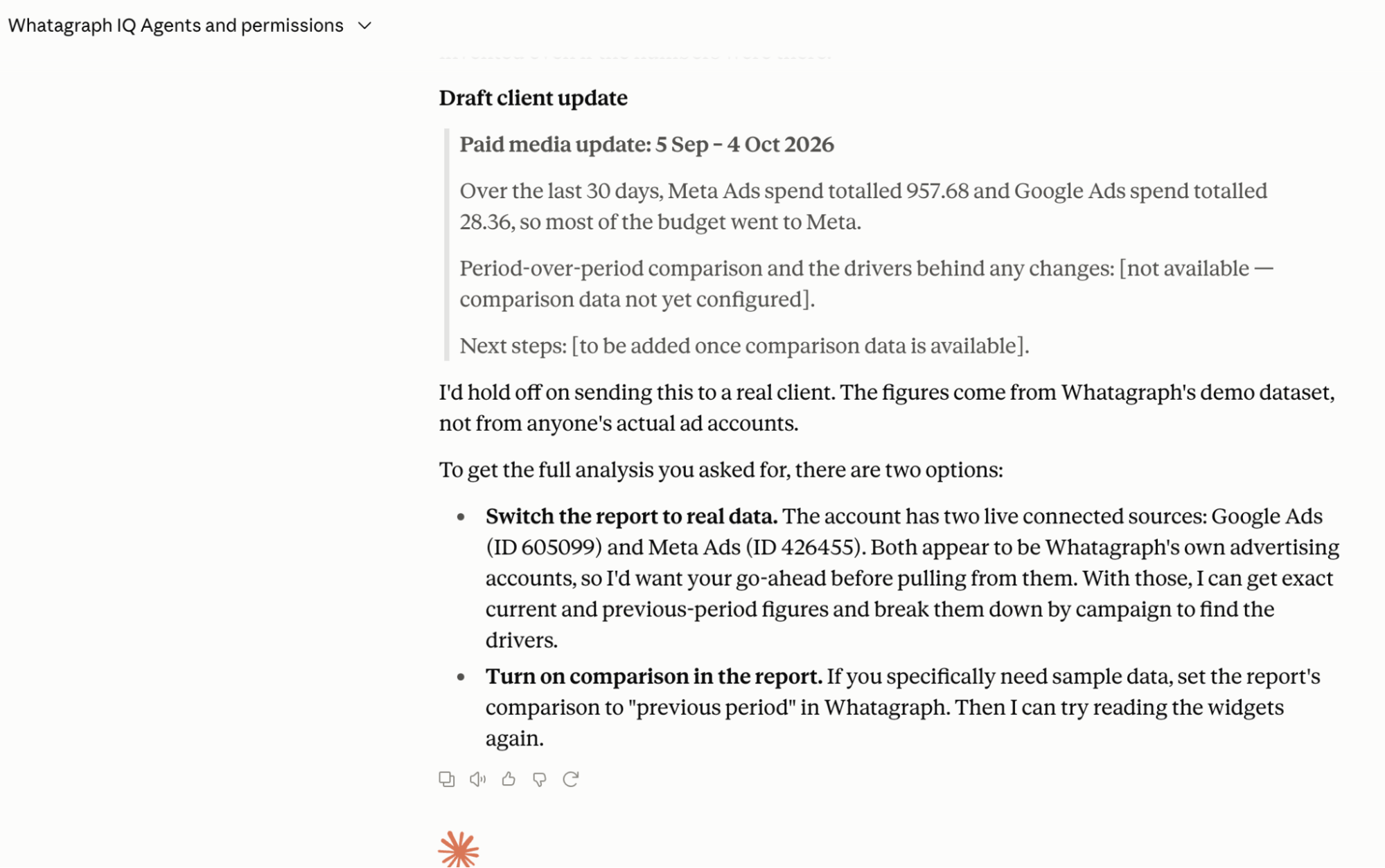 Whatagraph mcp + claude output