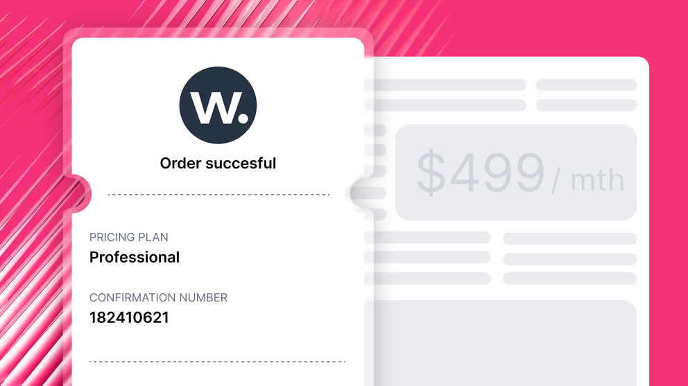 Windsor Ai Pricing - Pricing details showing logo, plan name "Professional" and confirmation number