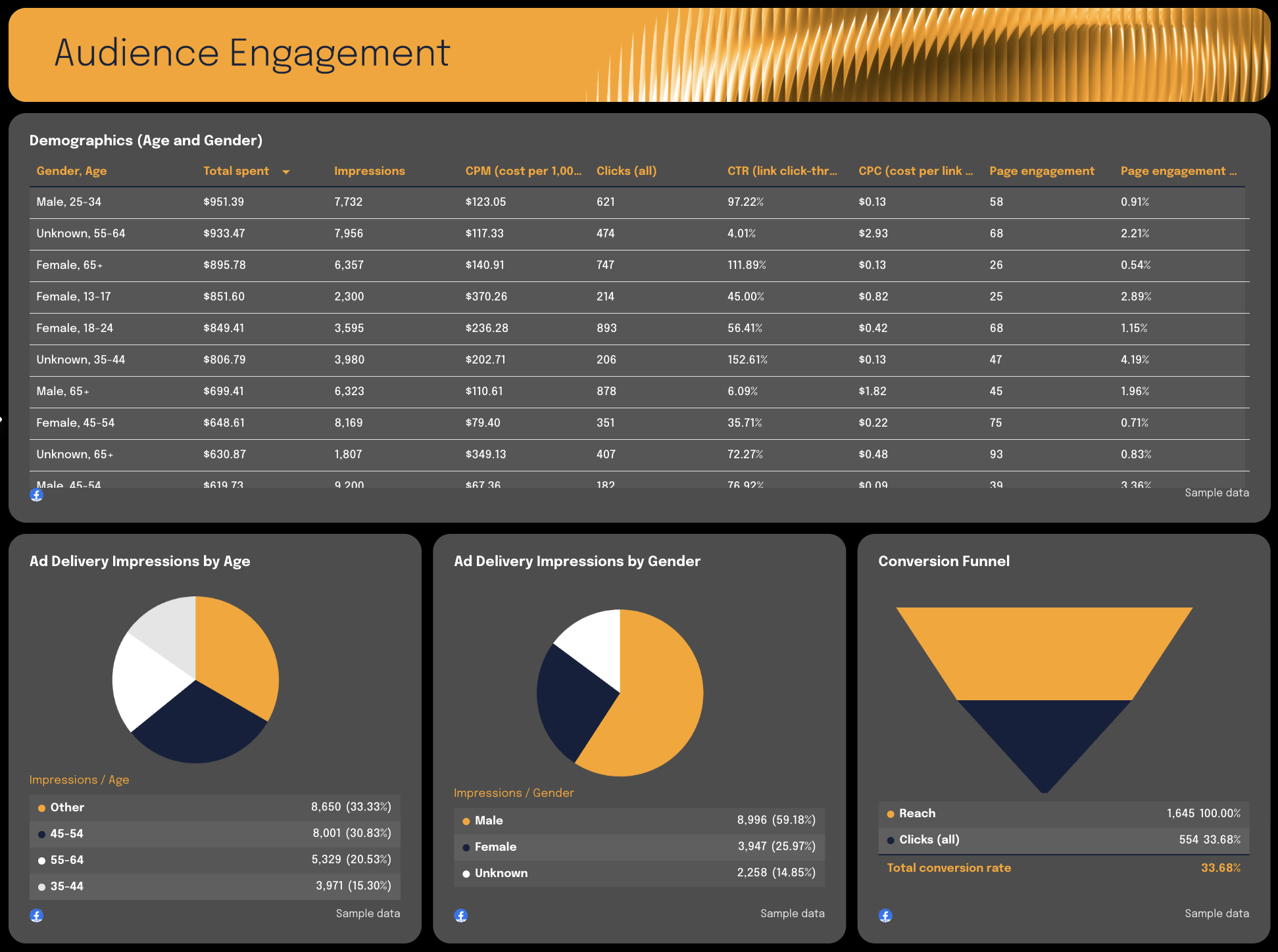 Audience Engagement - Dashboard showing audience demographics, ad delivery by age/gender, and conversion funnel.