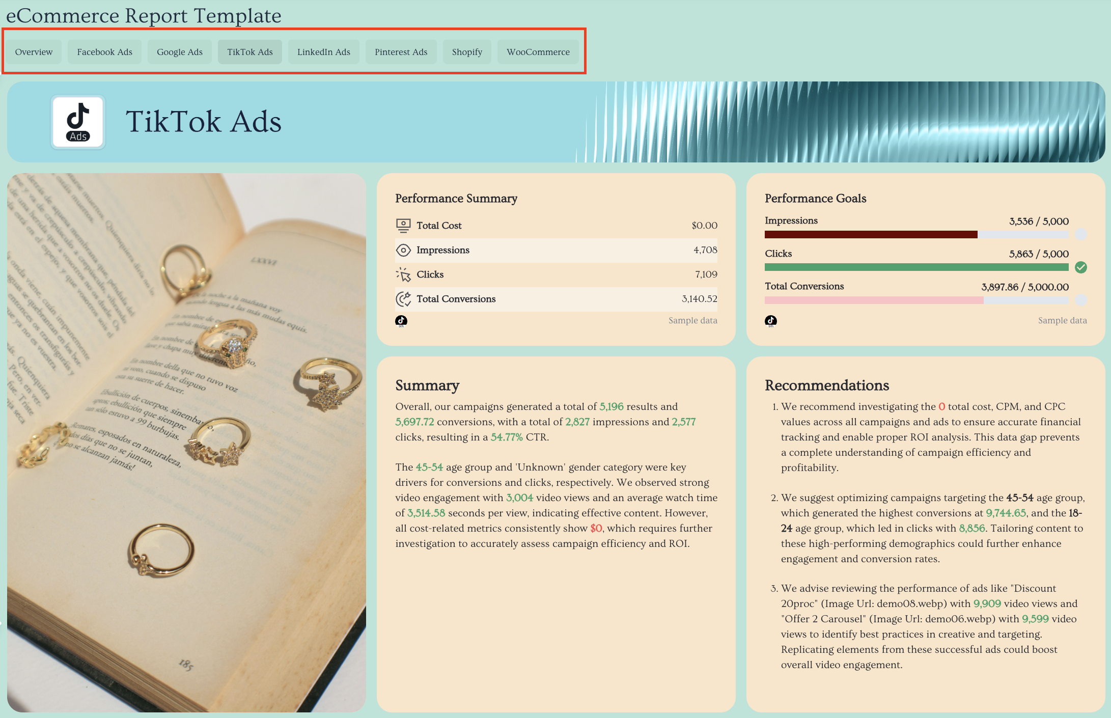 Ecommerce Report Template Tabs - A report with TikTok Ads and performance metrics.