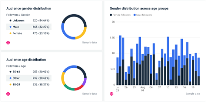 Instagram audience distribution in a report from Whatagraph