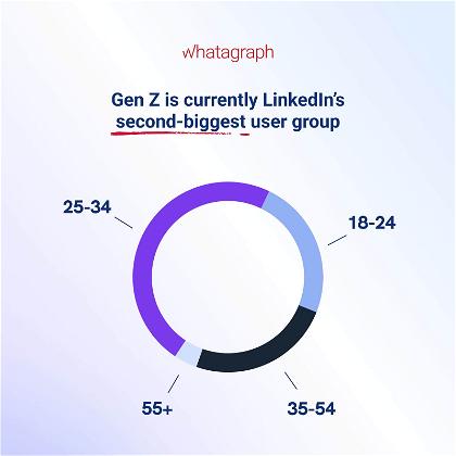 LinkedIn age distribution