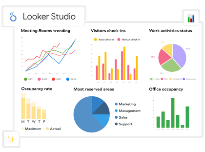 looker-report