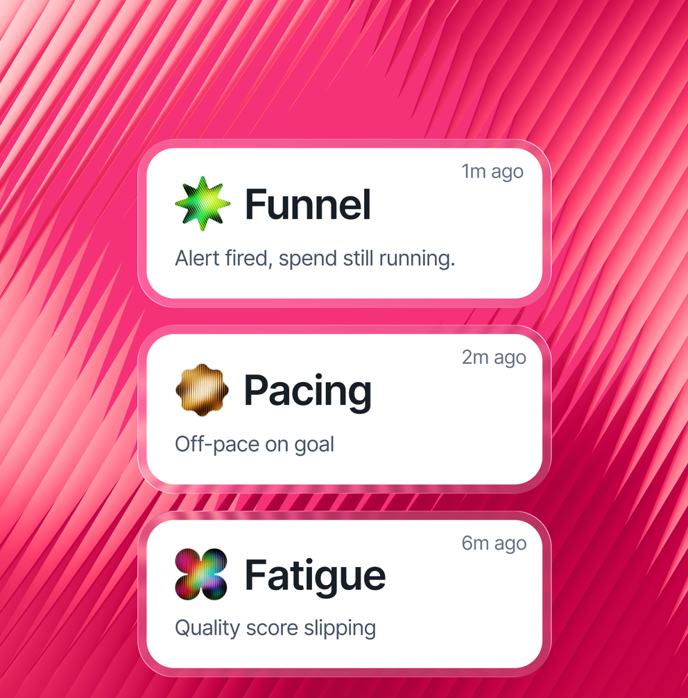 Whatagraph marketing reporting tool