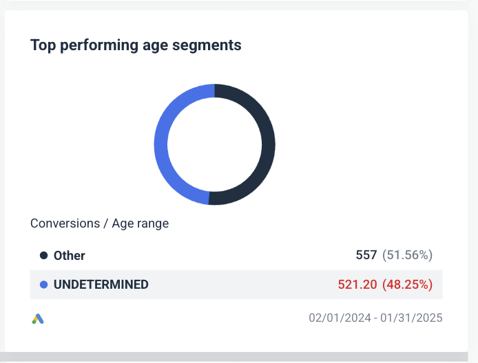 Step 4 - Doughnut chart showing age segment performance: Other (51.56%) and UNDETERMINED (48.25%).