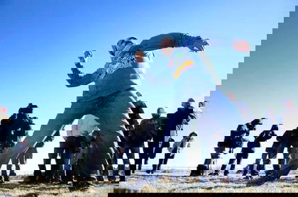 Fruitcake tossing day