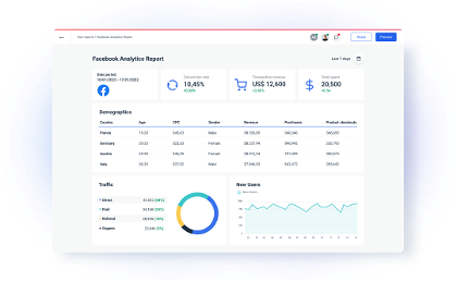 Facebook Analytical Report