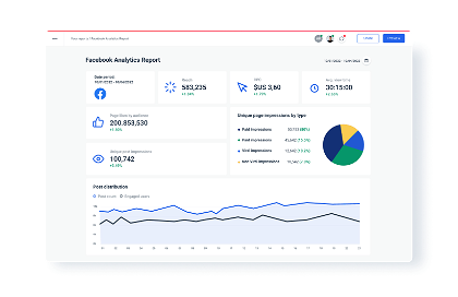 Here is an example of what the Facebook analytics report template looks like