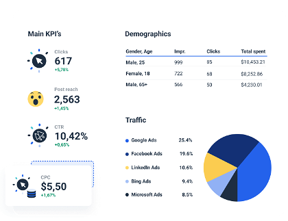 Data Visualization Dashboard with all the most important KPIs