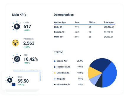 Data Visualization Dashboard with all the most important KPIs