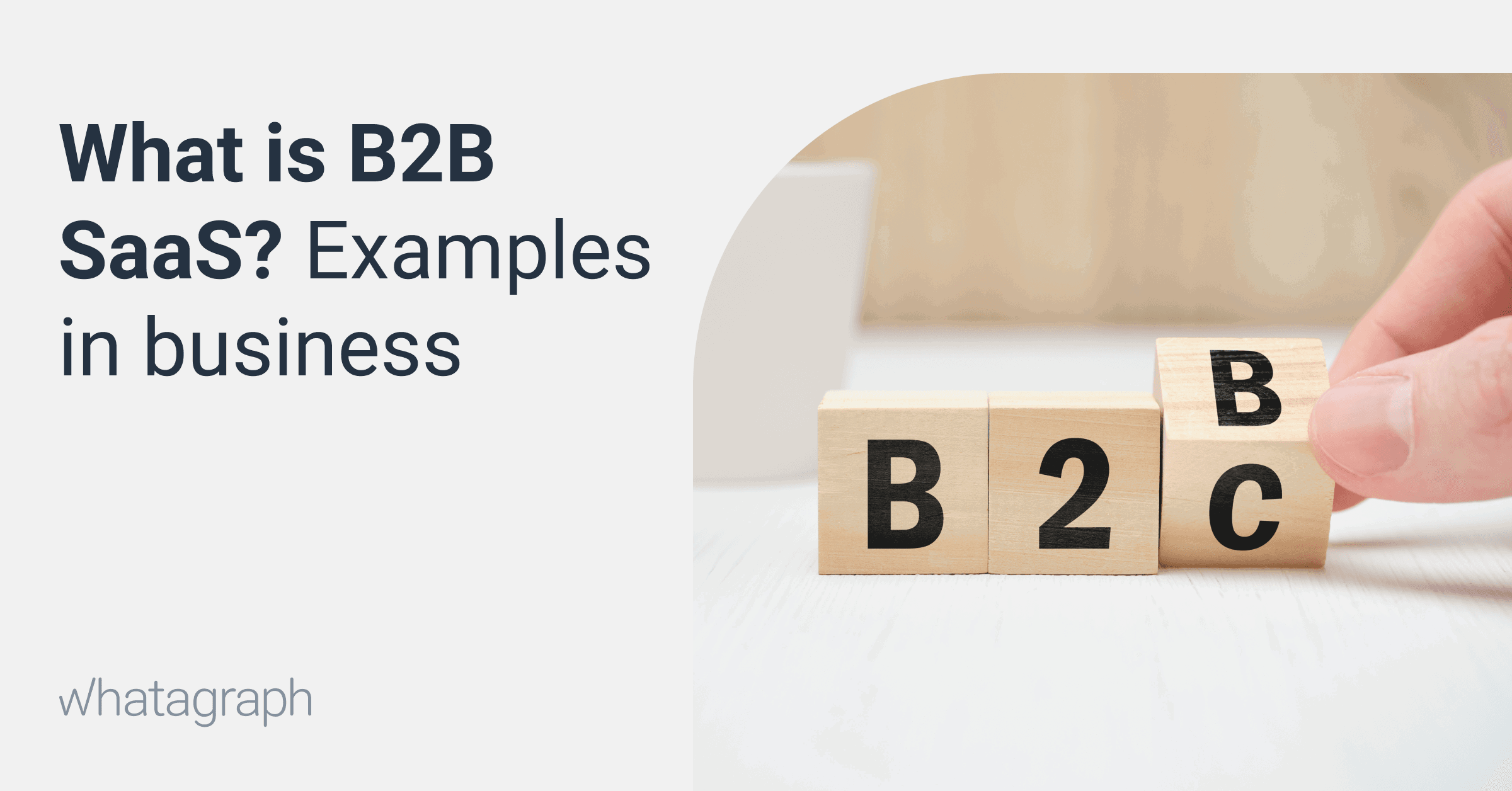 B2B SaaS – Examples Of Successful Businesses | Whatagraph