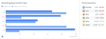 Facebook Insights metrics can contain variety of demographic data.