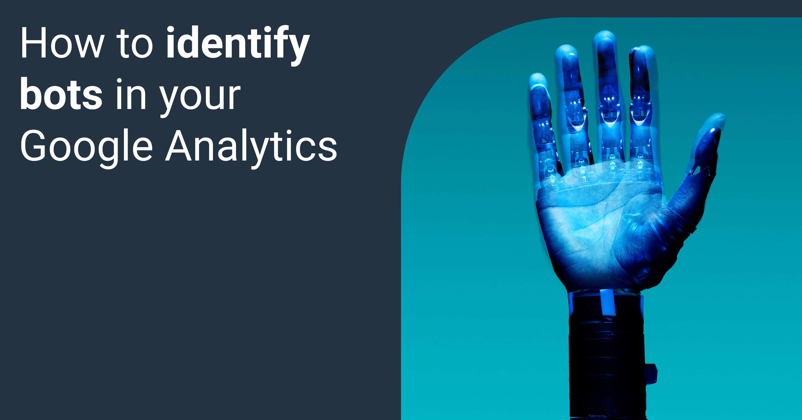 What Is A Google Analytics Bot Filtering And How To Use It Whatagraph