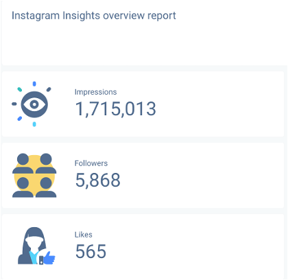 Instagram Insights report needs to start with a general overview.