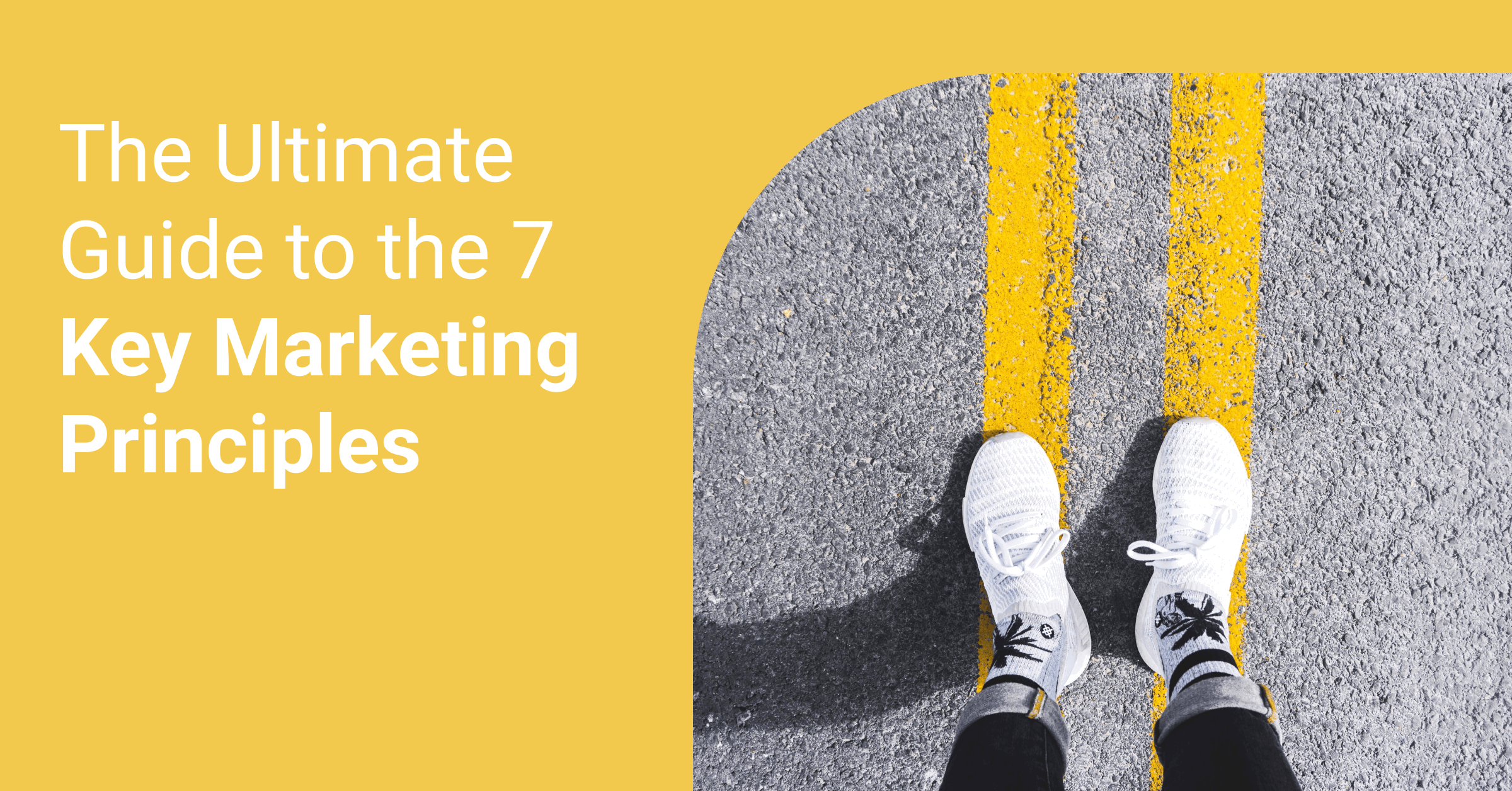 Basic Principles of Marketing | Whatagraph