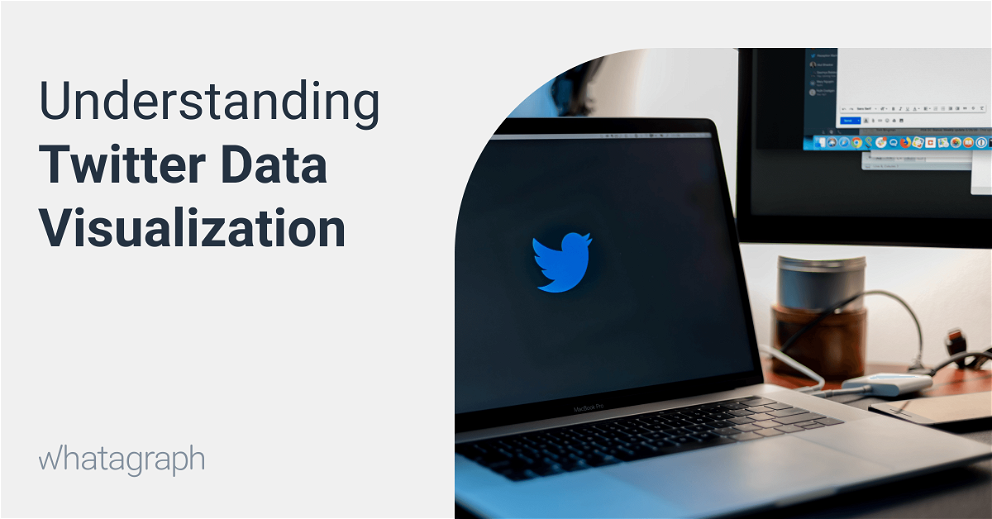 Understanding Twitter Data Visualization