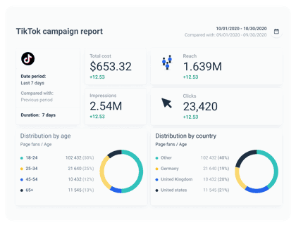 TikTok dashboard example built with Whatagraph.