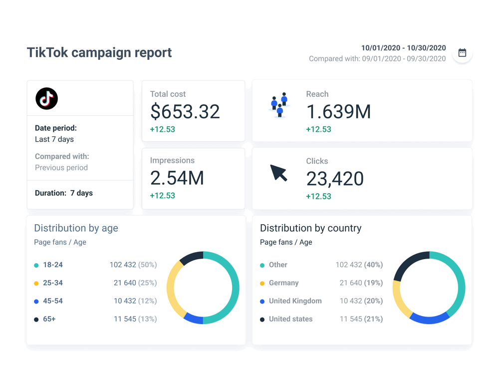 TikTok campaign report